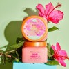 Tree Hut Body Scrub Pink Hibiscus 510g / 트리헛 바디스크럽
