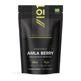 ALPHA01 Organic Amla Berry 1400mg - 90 Vegan Capsules - High Strength Phyllanthus Emblica Supplement - 45 Day Supply - Resealable and Recyclable Pouch by Alpha01