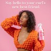 The Frontal Queen No-Drama Detangling Spray
