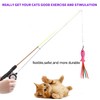 Whefory Retractable Cat Teaser Wand Toy, Cat Toys for Indoor