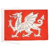 AZ FLAG English White Dragon Flag 18'' x 12'' cords