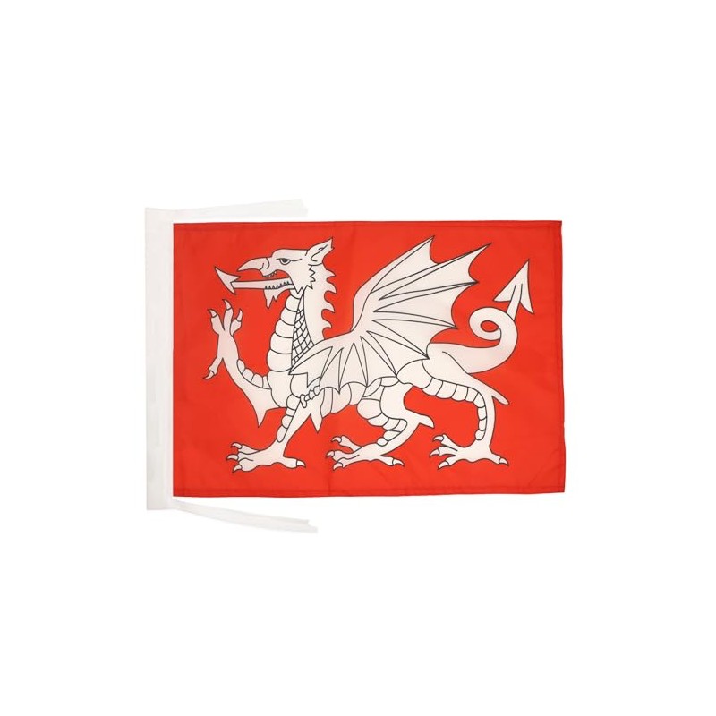 AZ FLAG English White Dragon Flag 18'' x 12'' cords