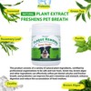 Petstoral Plaque Removal Natural Dental Powder - Dog Dental Care