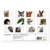 My wild power animal full of mindfulness (Monthly Wall Calendar