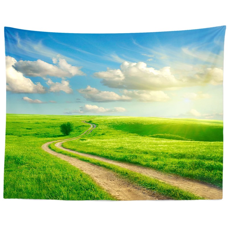 Loccor Fabric 8x6ft Sky Backdrop Summer Landscape Green Grass Road