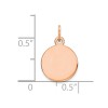 Unbranded 14K Rose Gold Round Disc Charm