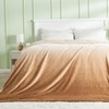 NEWCOSPLAY Super Soft Throw Blanket Ombre Brown Premium Silky Flannel