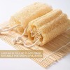 10 Stücke Luffa Schwamm Natürliche, Duschschwamm, Loofah, Natürliche Luffa Peeling,