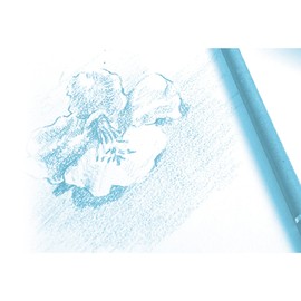 Clairefontaine 96025C Block Grained Drawing Paper, Glued, 20 Sheets, 224 g, DIN A4+ 24 x 32 cm, with Grain, Ideal for Wet Techniques and Dry Techniques, White, 1 Pad