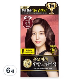 Partner_Reference 리엔 흑모비책 새치염색 크림 와인갈색 6개