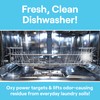 Seventh Generation Dishwasher Cleaning Packs 6 Count Free & Clear