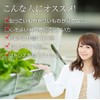 nichie Onion Skin 100% Made in Japan, Powder 10.6 oz