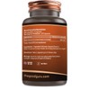 Reishi Mushroom Extract Capsule - 1800mg | Longevity and Improve