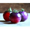 Seeds Blue Tomato 20+ Seeds to Grow Heirloom Dark-Blue Tomato