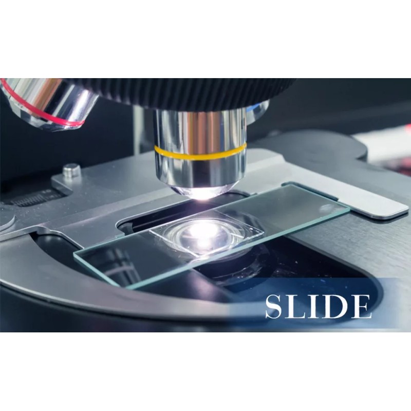 Generic 100pzs De Portaobjetos Y 100 Cubreobjetos Para Microscopía