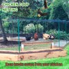 Bird Netting for Chicken Coop - 50x50ft Chicken Netting for