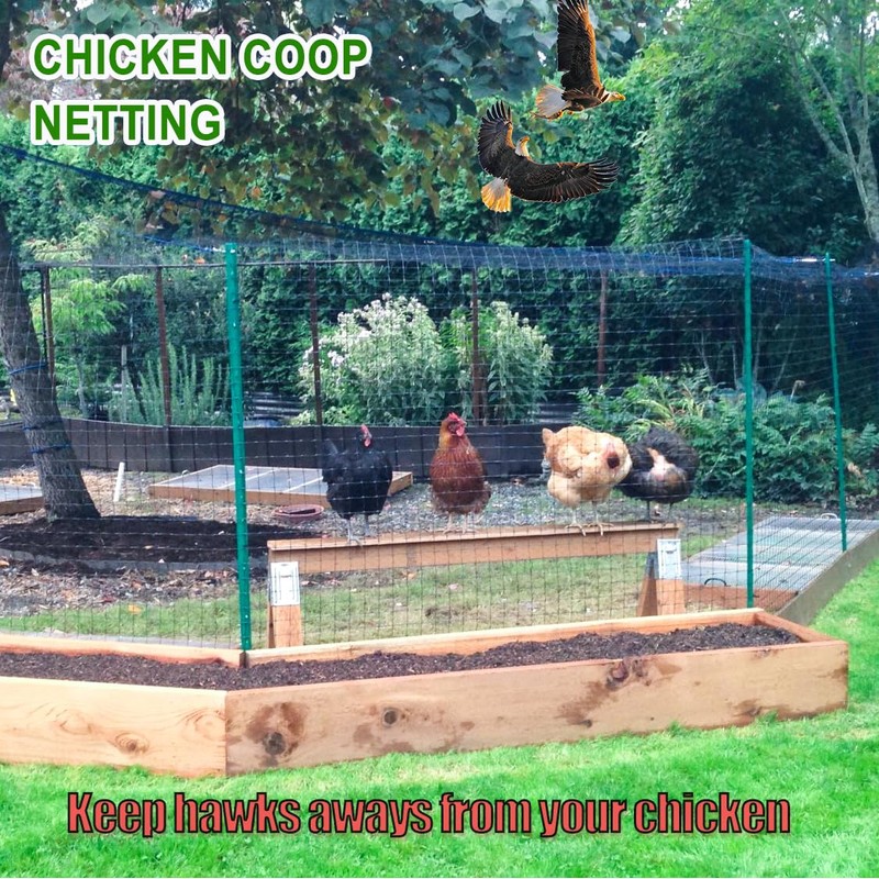 Bird Netting for Chicken Coop - 50x50ft Chicken Netting for