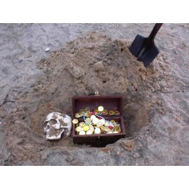 Garrett AT Prof cheat card New Garrett AT Gold Cheat card , will help you find coins and treasure fast!