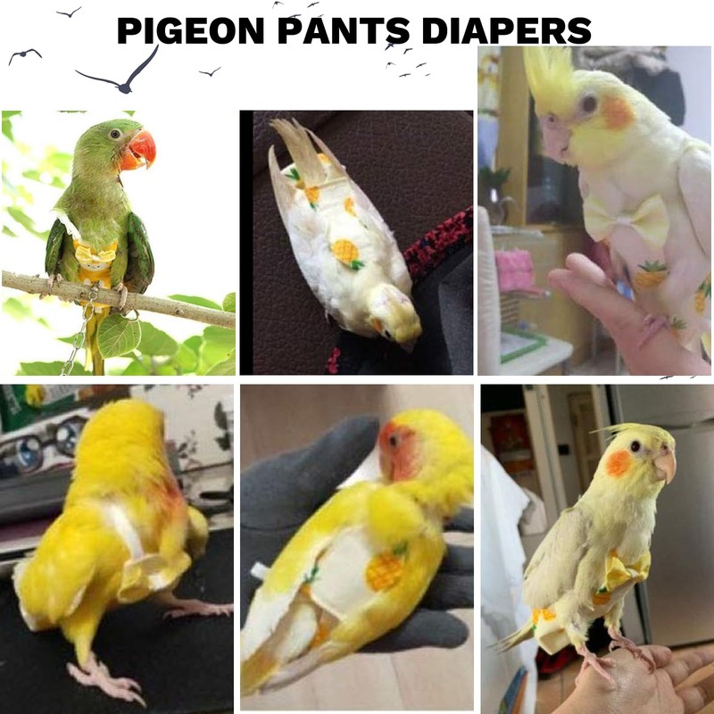 QBLEEV Bird Diaper Flight Suite, Reusable Parrot Nappy Cockatiel Clothes