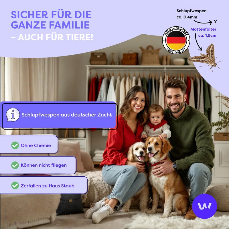 Wolkenfeld WF Moth Rep Cloth Treatment 1 Pack (10 Cards,