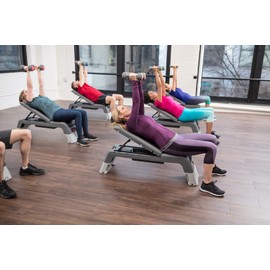 LIFE FITNESS STUDIO INDIVIDUAL GREY URETHANE 15LB DUMBBELL