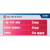 Molten V5M4000 Volleyball No. 5 Practice Ball Model