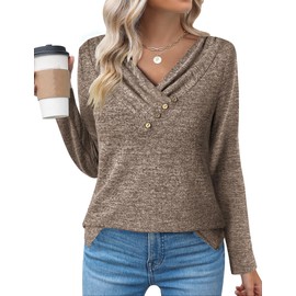 Zeagoo Womens Casual Tunic Tops for Women 2024 Long Sleeve Tops for Women Pullover Shirts V Neck Fall Shirts Women Loose Pullover Tops Coffee Large