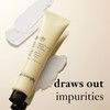 philosophy purity made simple pore extractor mask