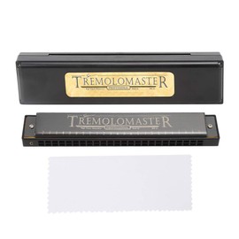 C Button 24-Hole Harmonica Professional Mouthorgan Wind Instrument Accessory (Matte Black)