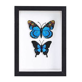 BESIDOTREE Shadow Box Frames 6x8 Picture Frame with HD Plexiglass Display case for Photos,Flowers,Wedding Bouquets,Awards,Insects and Memorabilia (Black)