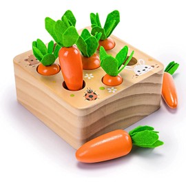Ancaixin Montessori Toys for Babies 6-12 Months, Wooden Toys for 1 Year Old Boys and Girls, Educational Carrot Harvest Toy for Toddlers, Shape Sorting Matching Puzzle, Developmental Birthday Gifts