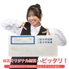 Yayoi 336001 Payroll Bill Paper Compatible 100 Sheets with Sewing