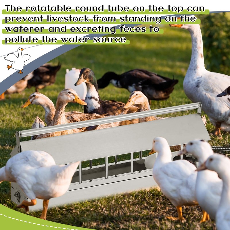 Automatic Chicken Waterer Stainless Steels 14 Windows Chicken Water Feeder