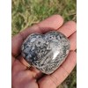 Stone City Crenoid Fossil Palmstone Crystal, Healing Stone, Meditation Crystal,