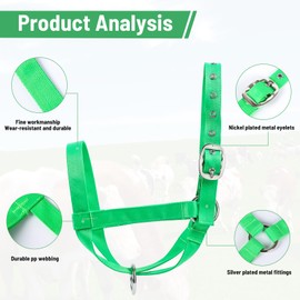 XUANNIAO Easily Adjustable Figure 8 Cow Halter, Double-Ply Premium Livestock Cattle Halters, Colorful Cow Utility Calf Halter with Leading Rope for Miniature Horse Donkey Goat Foal (Small, Green)