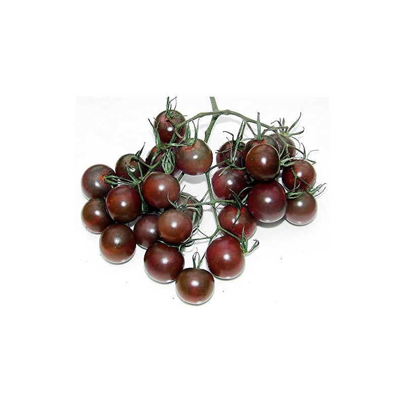 30+ Black Cherry Tomato Seeds, Heirloom Non-GMO, Low Acid, Indeterminate,