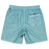 Quiksilver EVERYDAY SURFWASH VOLLEY 17NB Men's Board Shorts, BGW0, L