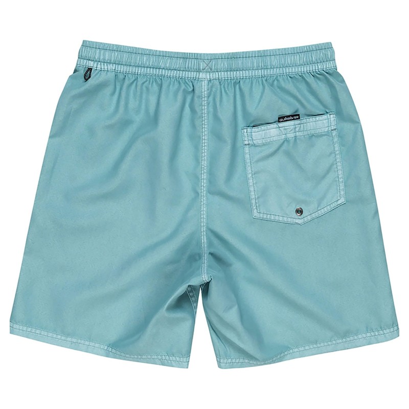 Quiksilver EVERYDAY SURFWASH VOLLEY 17NB Men's Board Shorts, BGW0, L