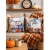 Fall Pillow Covers 18x18 Set of 2 Velvet Farmhouse Rustic