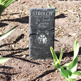 Dekolando Siberian Husky Graveside Memorial Ornament Grave Decoration 22 x 8 cm