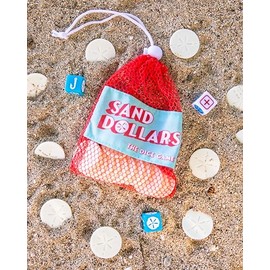 Sand Dollars Dice Game | Beach Game and Pool Game for the Whole Family | Screen for Kids Adults and Grandparents | Perfect for Vacation, Lake Cabins and Beach Houses