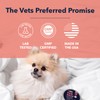 Vets Preferred Paw Balm Pad Protector for Dogs – Dog