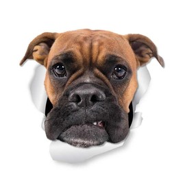 TIZIKJ Boxer Dog Car Sticker, 3D Crack Effect, Waterproof, Reflective, Funny Sticker for Car, Bumper and Window (15 cm/5.9 Inches)