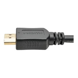 Tripp Lite Eaton Series P566-010-VGA 10ft HDMI to VGA Active Adapter Cable, 1080p 1920x1200, Gold Plated, Plug & Play for PC Monitor Projector, Cloud Care Pre-Configured Bundle Eligible (1 Pack)