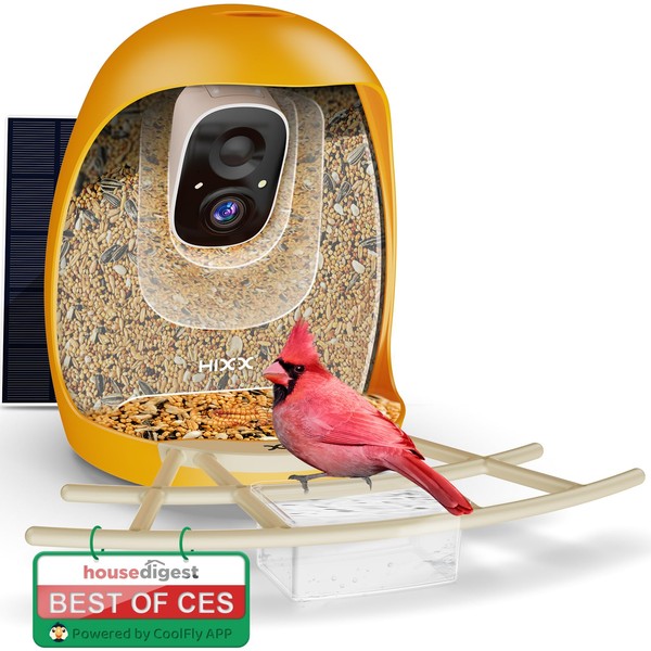 Bird Feeder with Camera | AI Recognition, Solar-Charged Video Bird