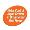 TetraPond Pond Block, 50 Count, Helps Control Algae Growth in