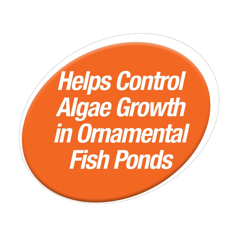 TetraPond Pond Block, 50 Count, Helps Control Algae Growth in
