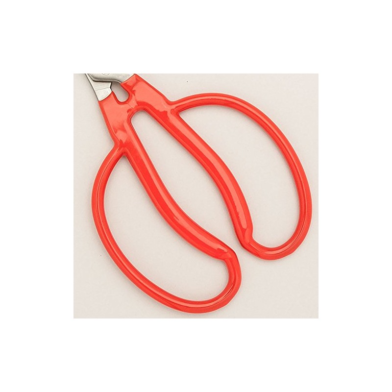 東北打刃物 新国光 剪定鋏 ステンぶどう鋏