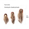 Happy Feather 100 pcs Natural Pheasant Plumage Feathers 2-3 Inches