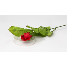Cosmos Gifts Fine Porcelain Red Stem Bud Rose Figurine Set of 2 (2 Pieces Set), 13-1/2" H